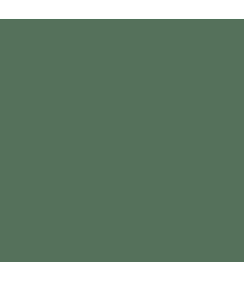 Earthborn Claypaint - Hobby Wood 100ml