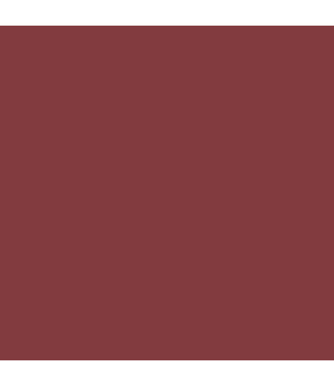 Earthborn Claypaint - Lady Bug 100ml